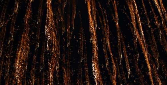 Not Ash Expected | Uncluttered